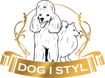 Dog i styl – fryzjer dla psów